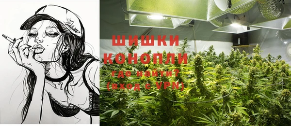индика Вязники