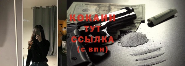 индика Вязники