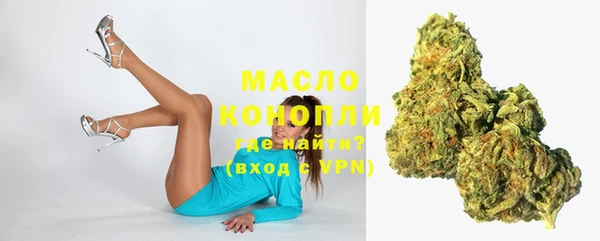 индика Вязники