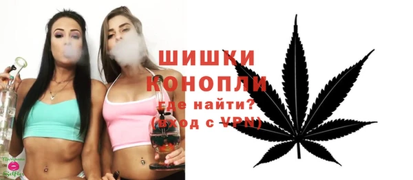 индика Вязники