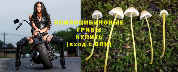 скорость Вяземский