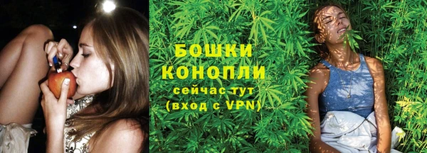 скорость Вяземский