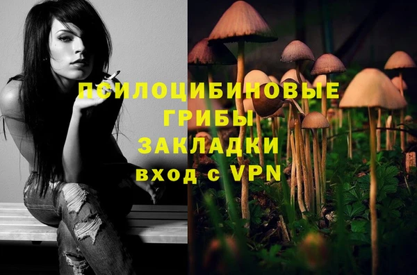 скорость Вяземский