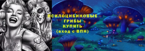 ПСИЛОЦИБИНОВЫЕ ГРИБЫ Верхнеуральск
