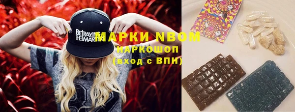 индика Вязники