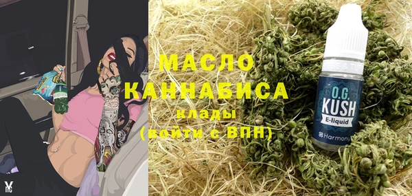 индика Вязники