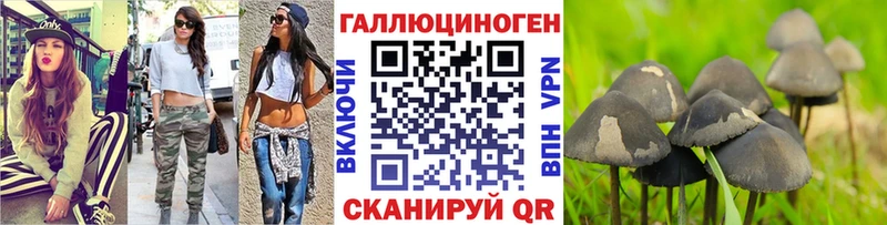купить наркоту  Заинск  Псилоцибиновые грибы мицелий 
